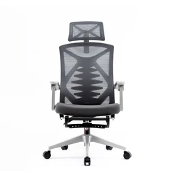 Free Sample Sihoo 2022 New Arrival Ergonomic mesh back office chairs 3D bionic keel lumbar support office chair with footrest