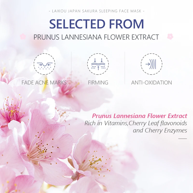 Natural Skincare Products LAIKOU Sakura Sleeping Face care Brighten dull skin night cream 80g