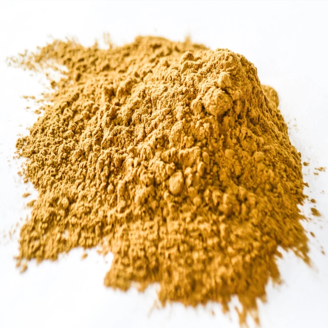 GMP Factory High Quality Panax Ginseng Root Extract 8~80% ginsenoside