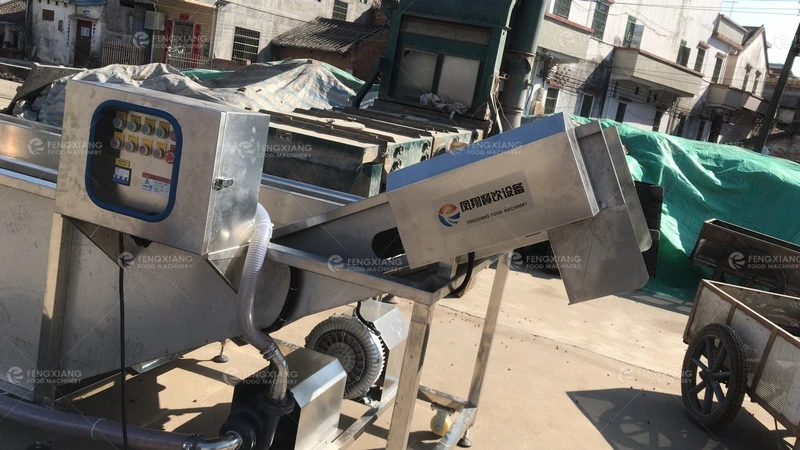 Gorgon fruit Small Little Fruits Vegetable Washing Machine