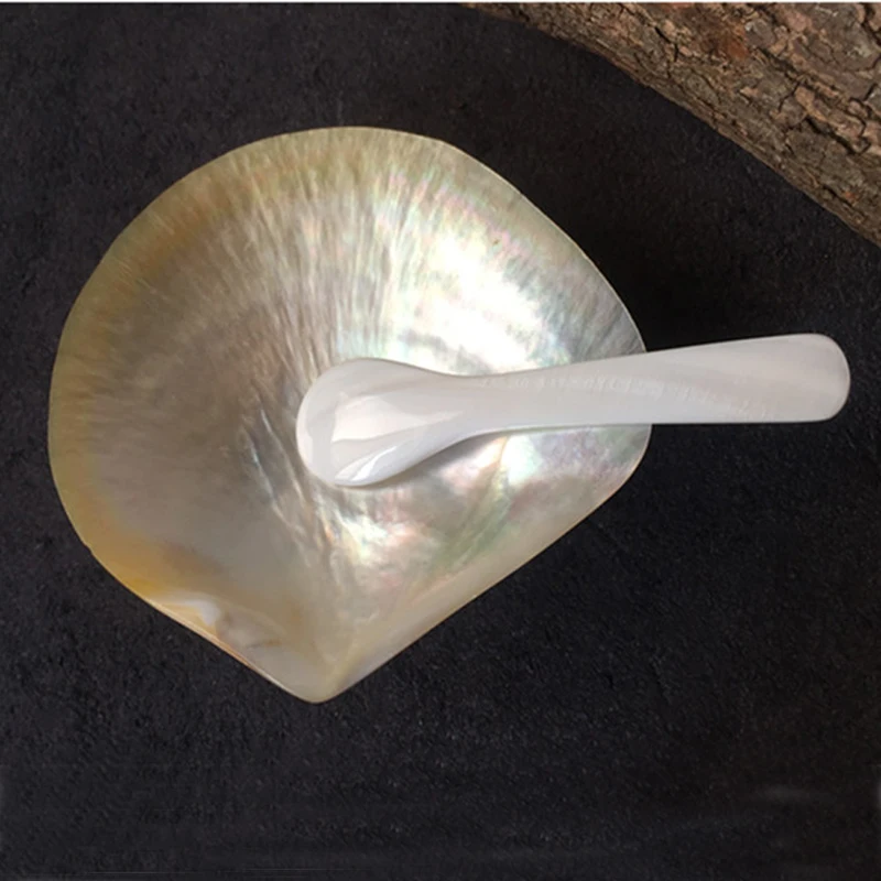 Caviar Shell Plate Natural Shell Coastal Beach House Table Decor