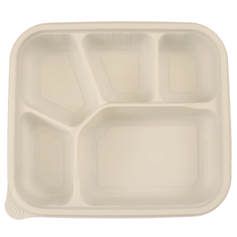 CPla Food Container Manufacturer/Biodegradable 5 Compartment Food Container Disposable