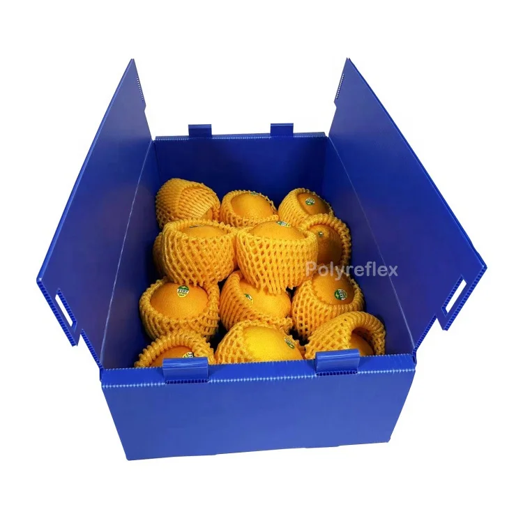 Настраиваемые коробки Coroplast Corflute PP из гофрированного пластика для упаковки фруктов и овощей и морепродуктов