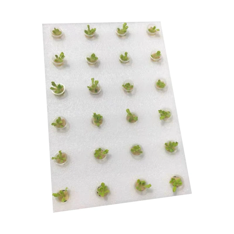 Best Quality Hot Sell Hydroponics Xps Dwc Floating Raft Foam Board Hydroponics
