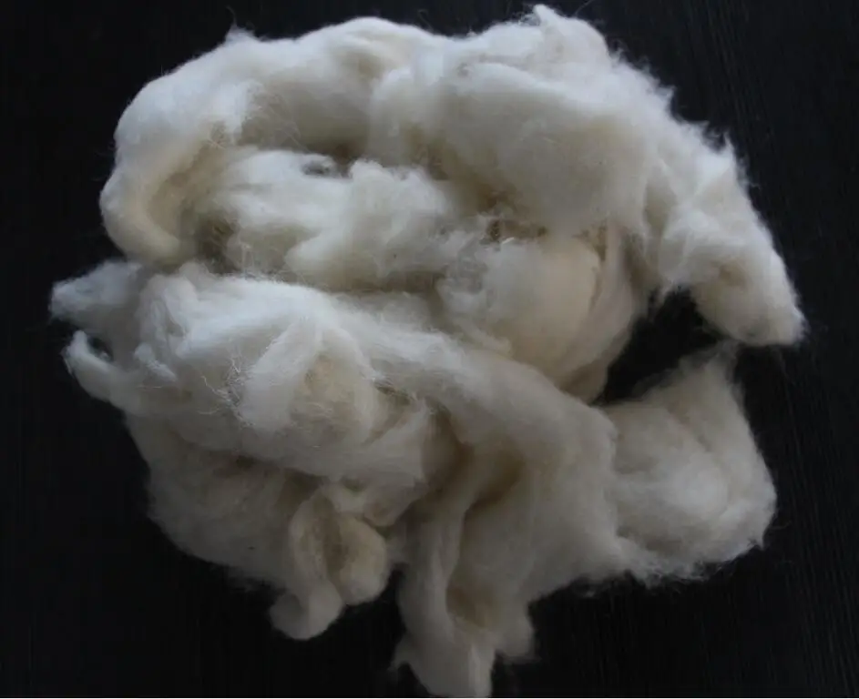 Unwashed and Carded Chinese Sheep Wool Waste used for  felt
