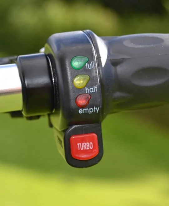 New folding electric golf scooter for  48V12A lithium battery