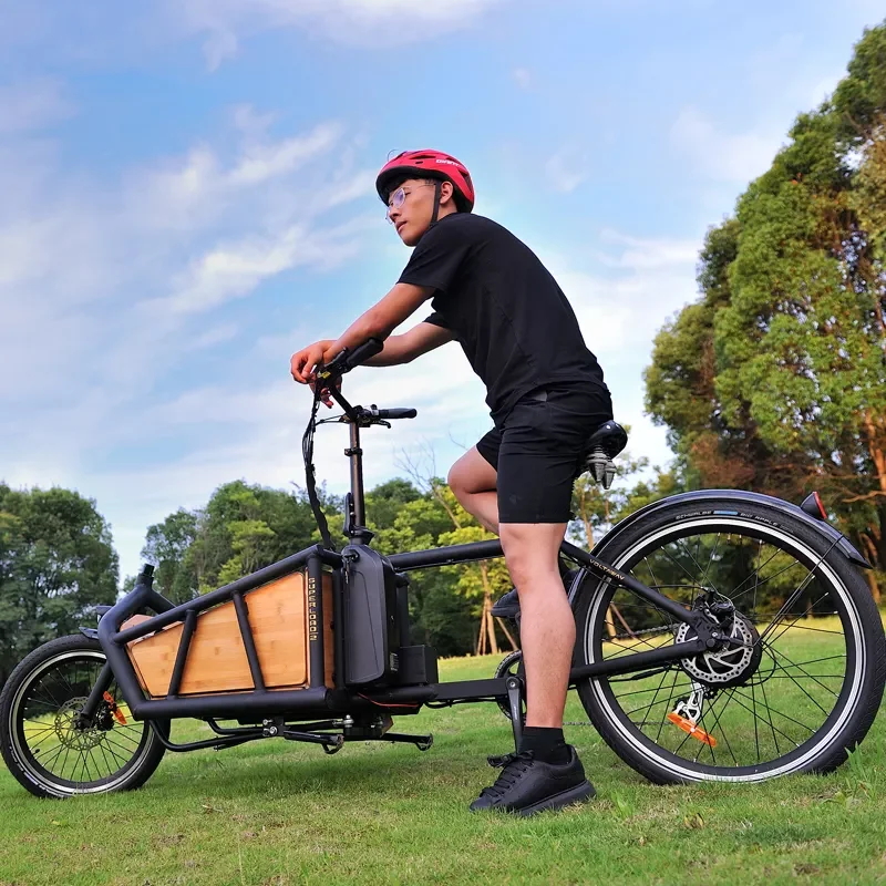 Front loaded wooden box 2 wheel cargo bike 250w 500w 750w hub motor 2 wheel thin tire delivery e bike