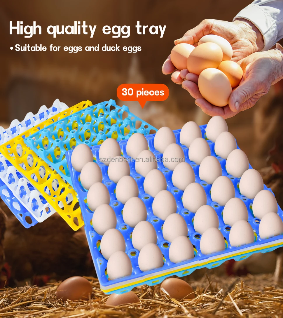 Egg tray-29.jpg