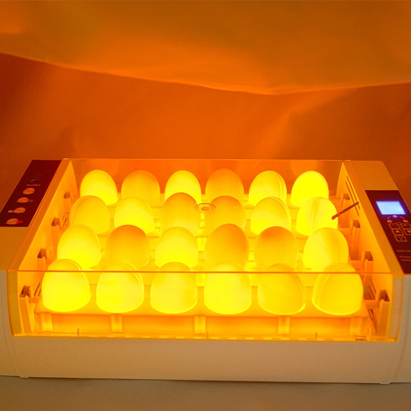 Hhd Mini 24 Capacity Led Egg Lighting Function With Auto Temperature Control And Display Automatic Egg Incubator