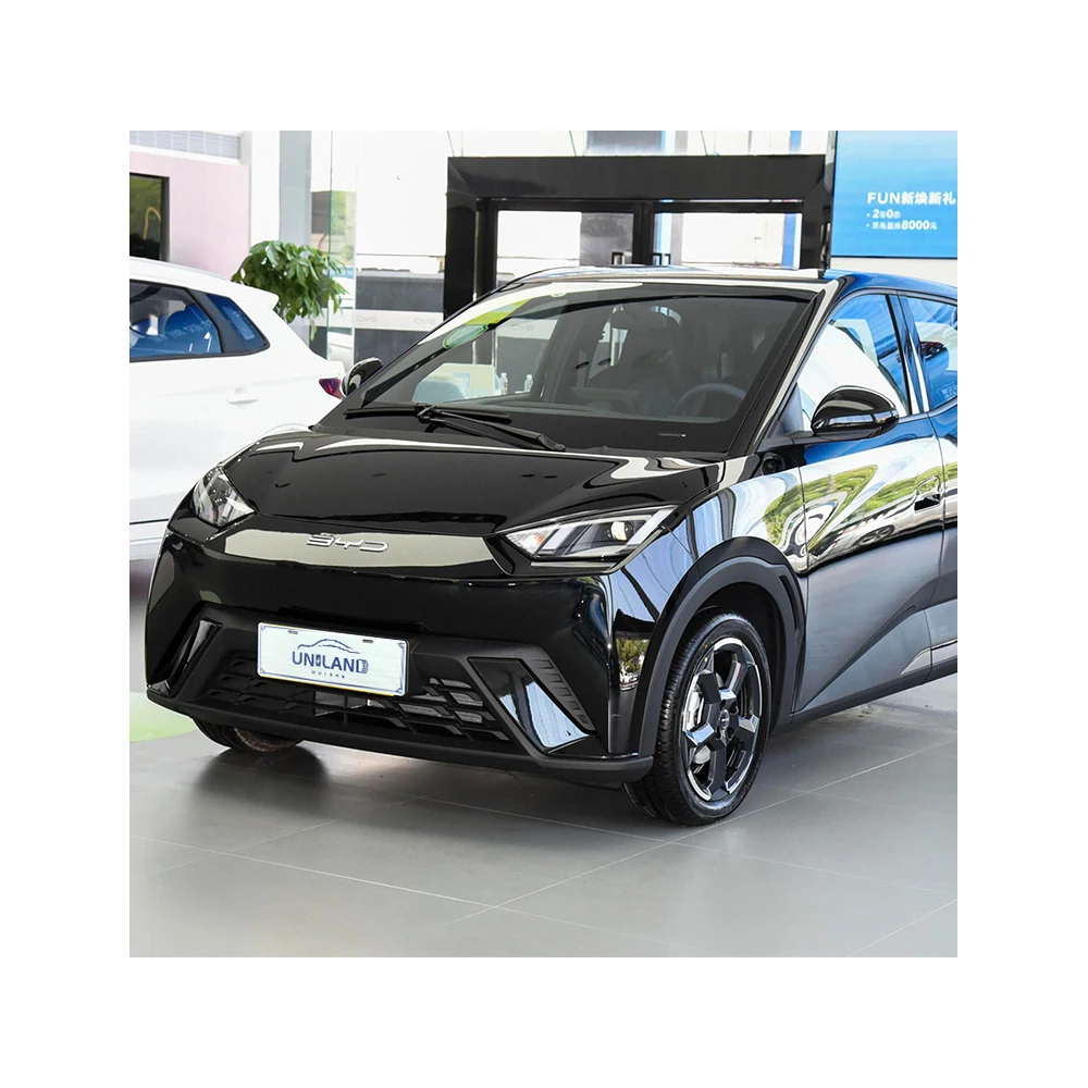 2023 BYD small EV car byd Чайка 4 места 305 км двухколесный мини-электромобиль для взрослых