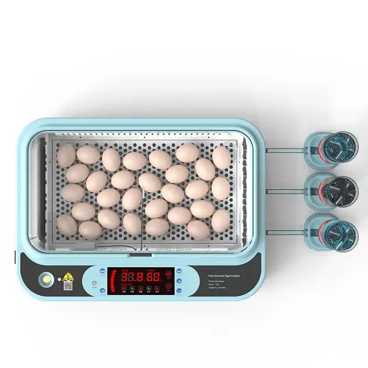 12 eggs capacity Dual Power Supply Automatic Chicken Egg Incubator For Hatching Eggs (12/15/24/36/64 Capacity)