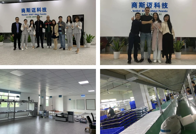 carpet cleaner with brush