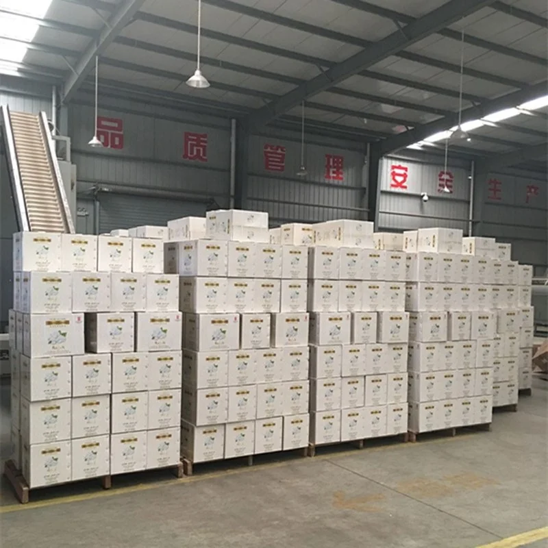 hot selling extra quality jasmine tea with factory price