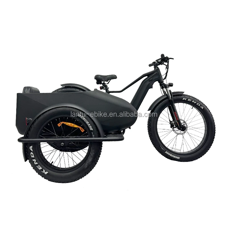 retro style wholesale price cargo ebike with sidecar 3 wheel 750w 1000w 48v fat tire electric bike side car ebike for sale