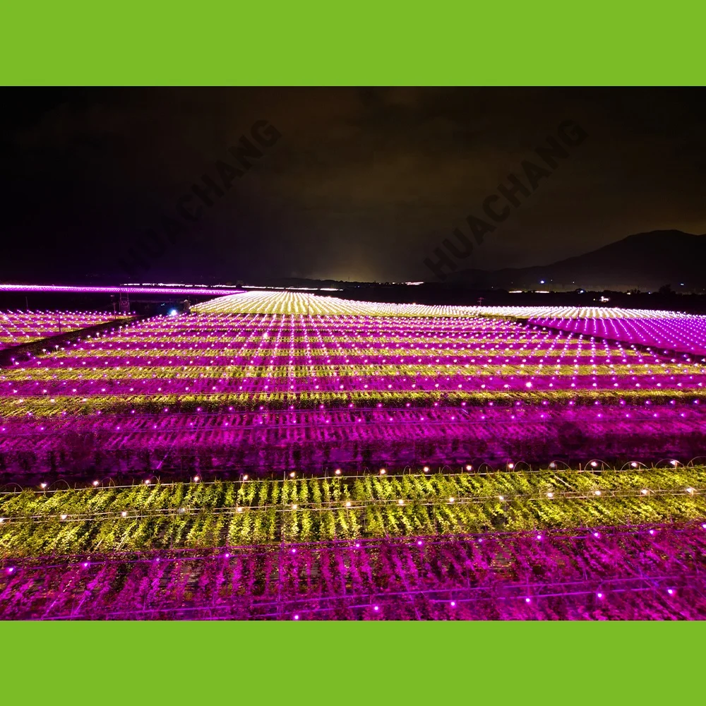 Tomato growth lamp 12W 15W LED bulb Full spectrum - pink light Promote plant growth Improve the survival rate of seedlings