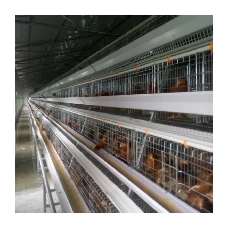 Оборудование для автоматизации куриных клеток, влажный занавес, охлаждающий и увлажняющий воздух