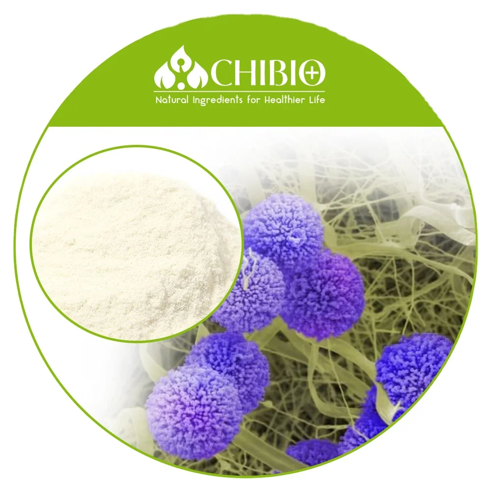 Aspergillus Niger Chitosan Powder of natural origin for weight maintenance