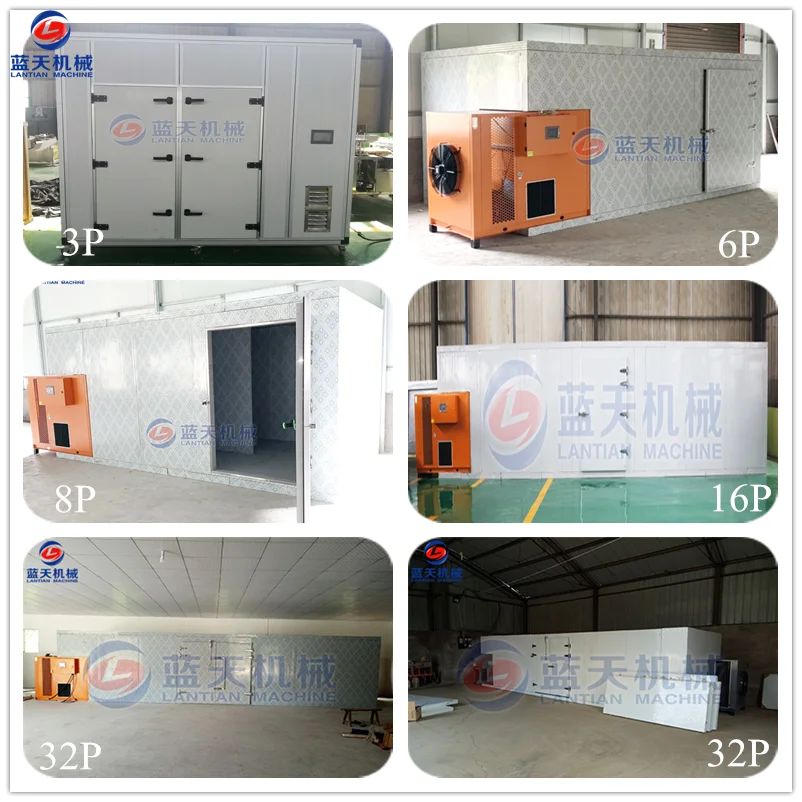 New meat and fish drying line fish heat pump dryer dehydrator oven machine