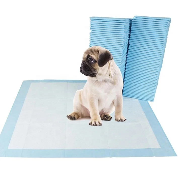 Amazon Top Seller Puppy Trainer Pads Toilet Training Urine Dog Cat Pet Absorbent Indoor Wee Mats
