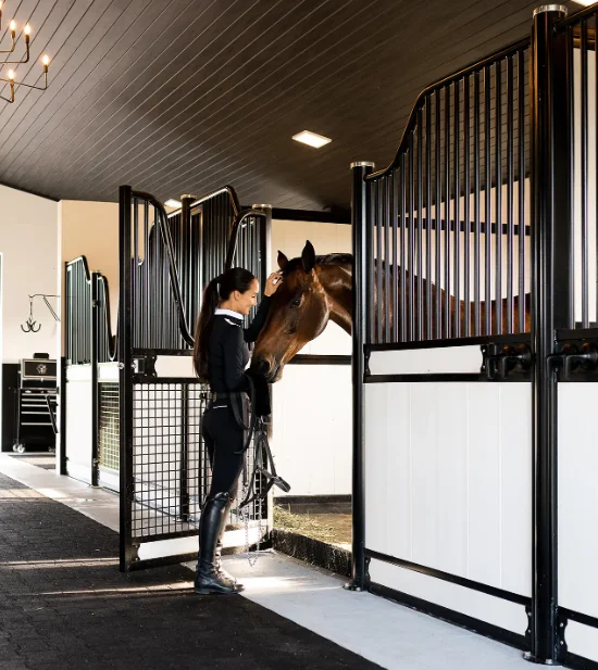 Breeding Horses Variety of styles dexterity and beauty Hot sale good quality many regular customers horse tools