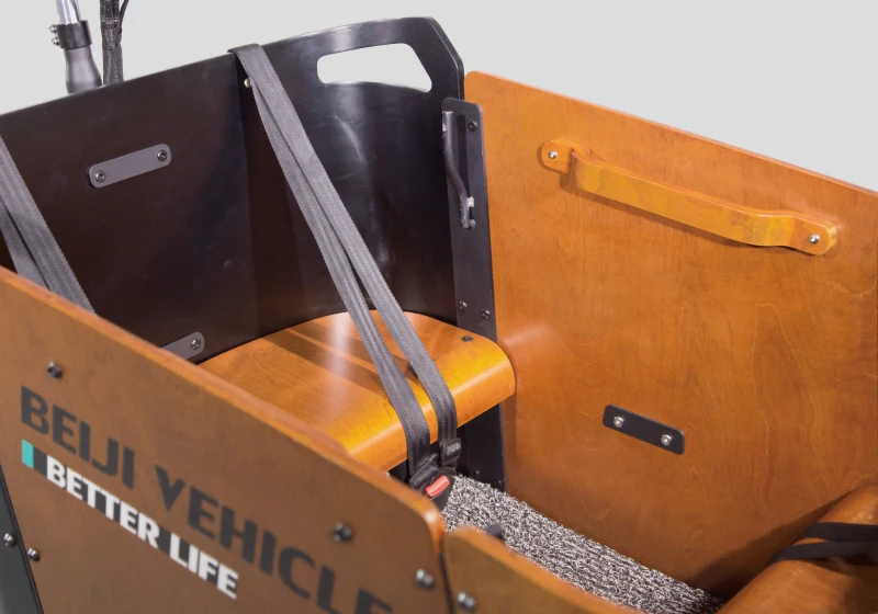 Free Tariff Heavy Duty Front Cabin Electric Cargo Tricycle Price Carry Kids Family Cargo Bike