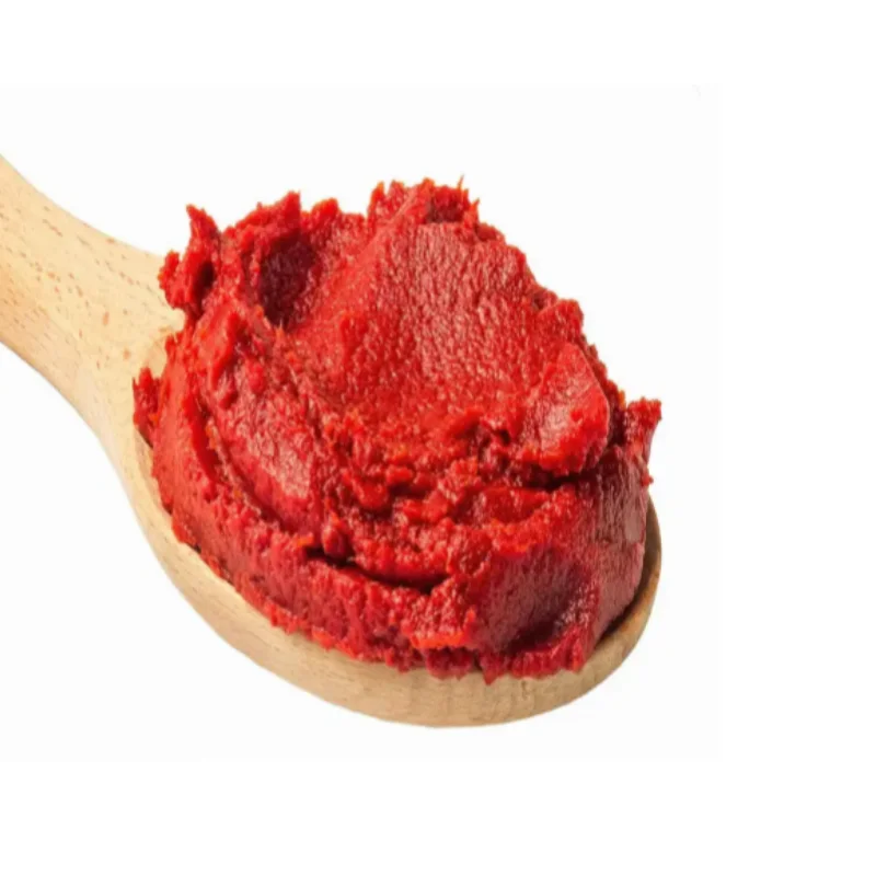 Wholesale delicious canned dehydrated tomato