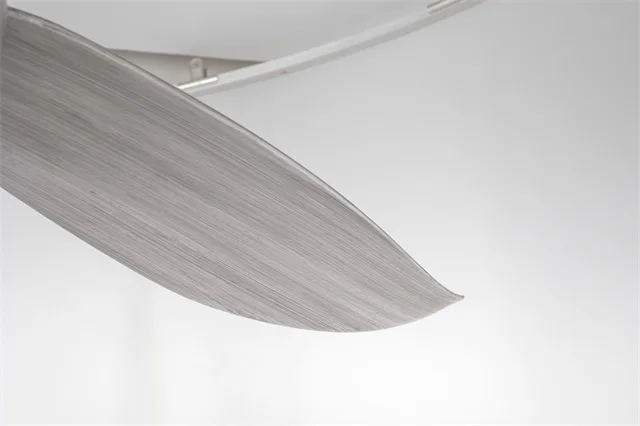 Newly Design Dc Energy Saving Remote Control Intelligent Smart Decorative Lighting Led Ceiling Fan