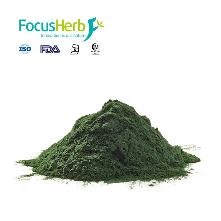 
Green Pigment Sodium Copper Chlorophyllin Color 