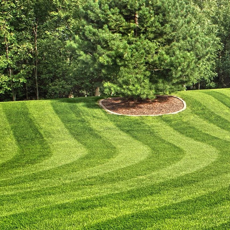 10 years warranty purple artificial grass decorative artificial wheat grass synthetic grass