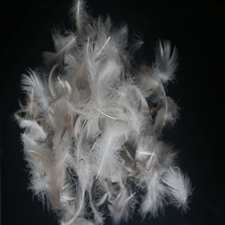
premium quality goose down feather 2-4cm grey goose feather for Furniture filling material 