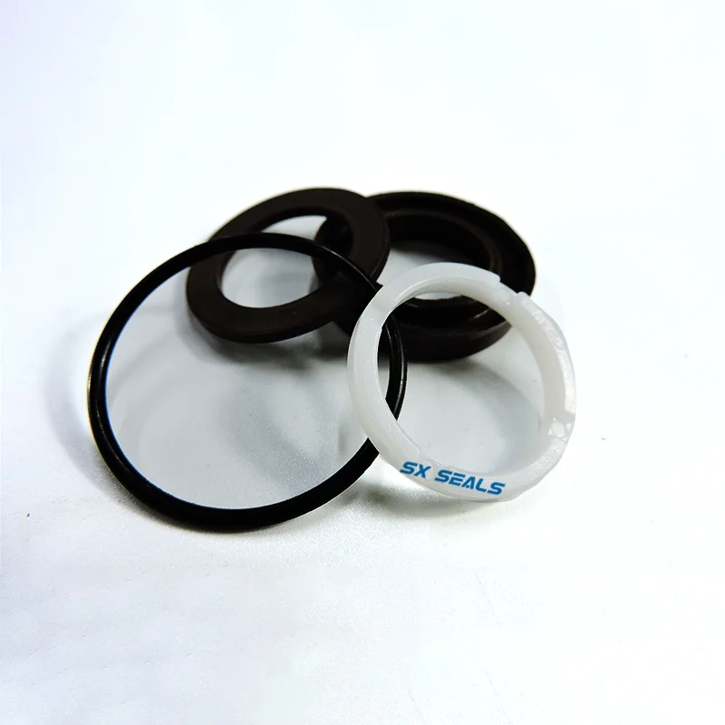 Hawk Standard Model Repair Parts Customizable Size Plunger Pump with Water and Oil Seal Check Valve Essential for Sealing Genre