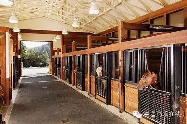 Modern Design Prefabricated Steel Structure Horse Barns and Cow Farm Buildings Horse Barns Design House