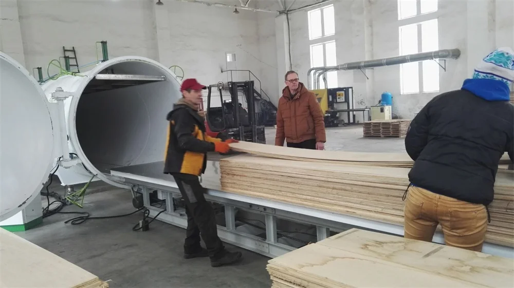 SAGA HFVD100-SA Microwave Vacuum Dryer for Wood  drying / wood vacuum dryer machines for sale