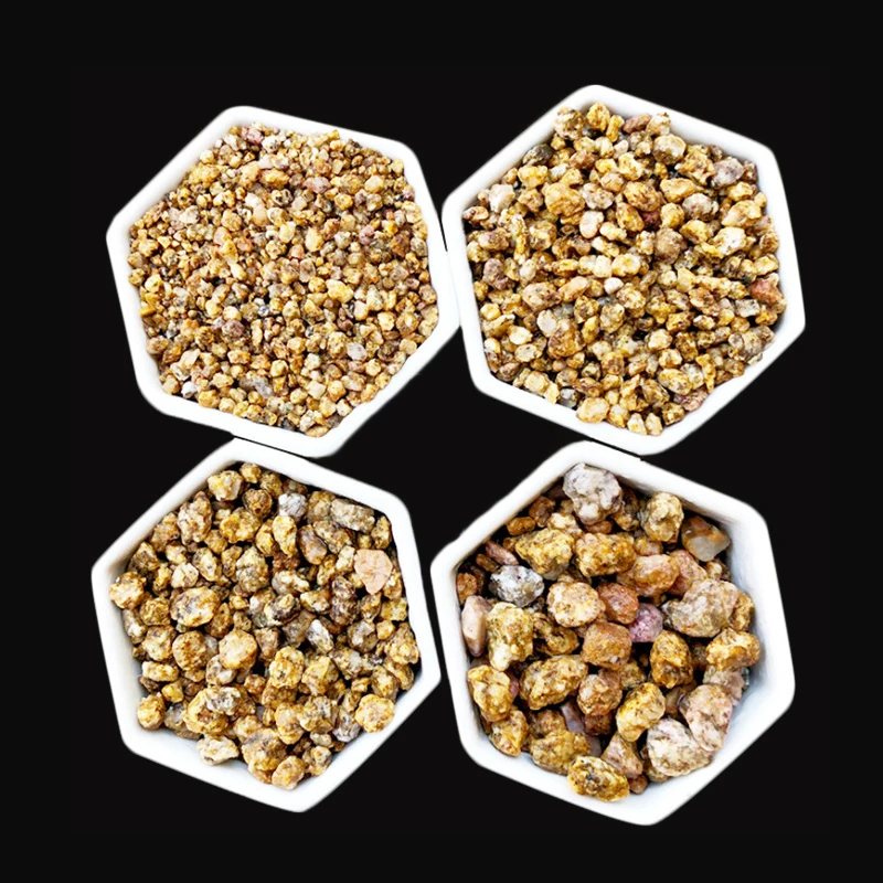 Golden Maifan Stone for horticultural succulents planting with Golden Maifan Stone