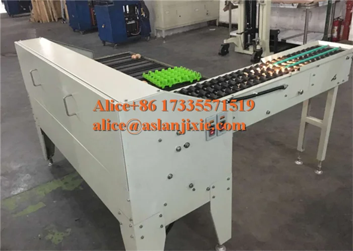 Egg plant egg grading machine/ goose egg weight sorting machine/duck Egg  size selecting machine