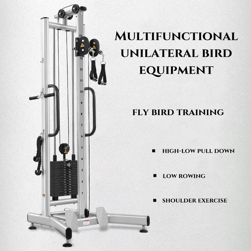 15 Years High Quality Commercial Gym Machine Fitness Equipment Strength Training Double Arm Chest