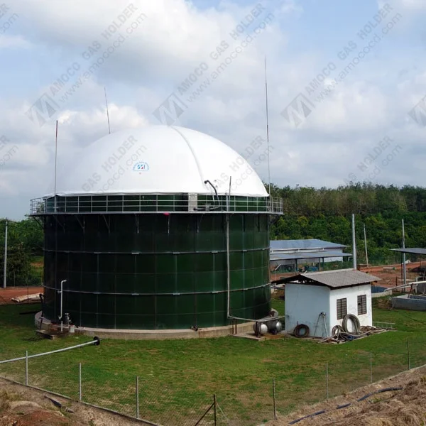 High Quality Membrane Biogas Storage Roof for Biogas Digester Tank in Turkey