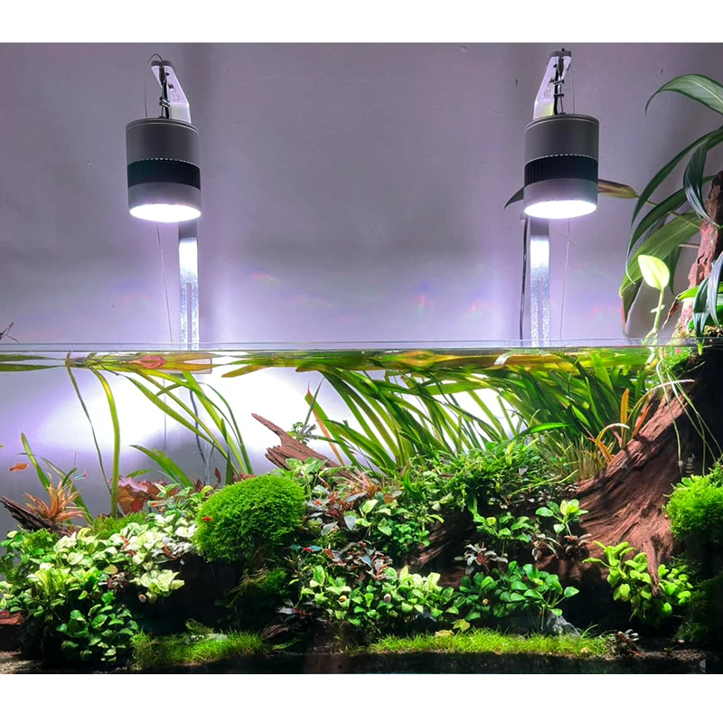 WEEKAQUA T70 WRGB Fish Led Light Aquarium for Aquatic Freshwater Aquascape Button Control with Sunset Sunrise