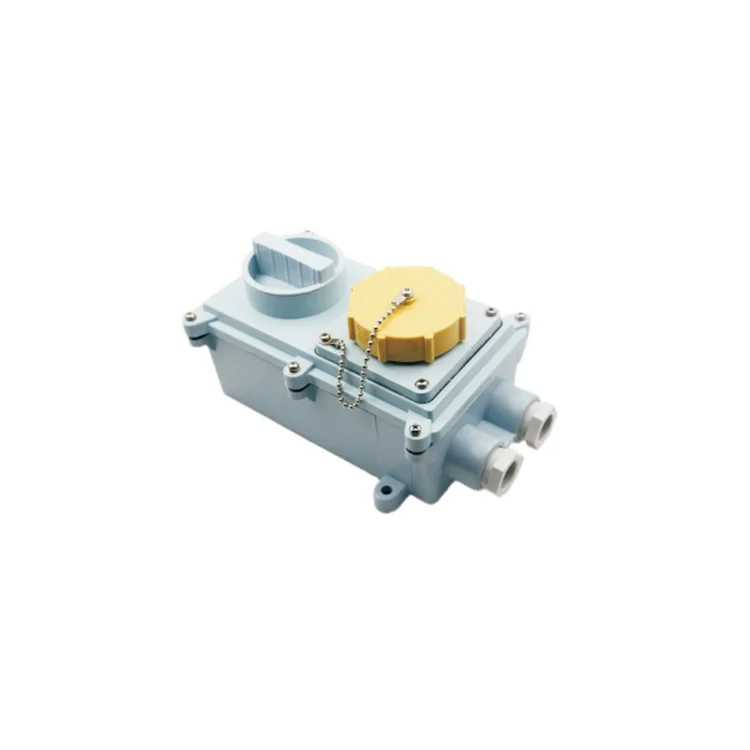 Watertight Plastic IEC Socket Switch with Switch Lock