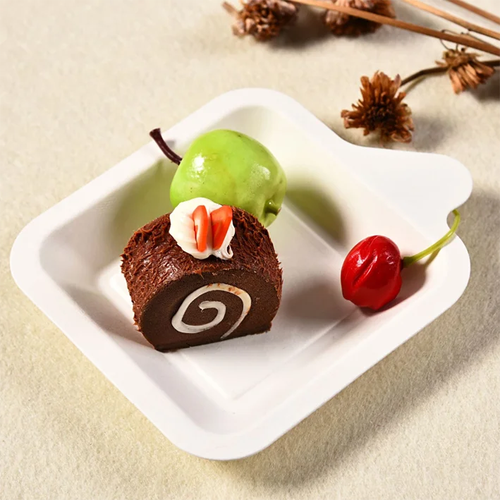 biodegradable disposable sugarcane bagasse food tray cake tray bamboo tray