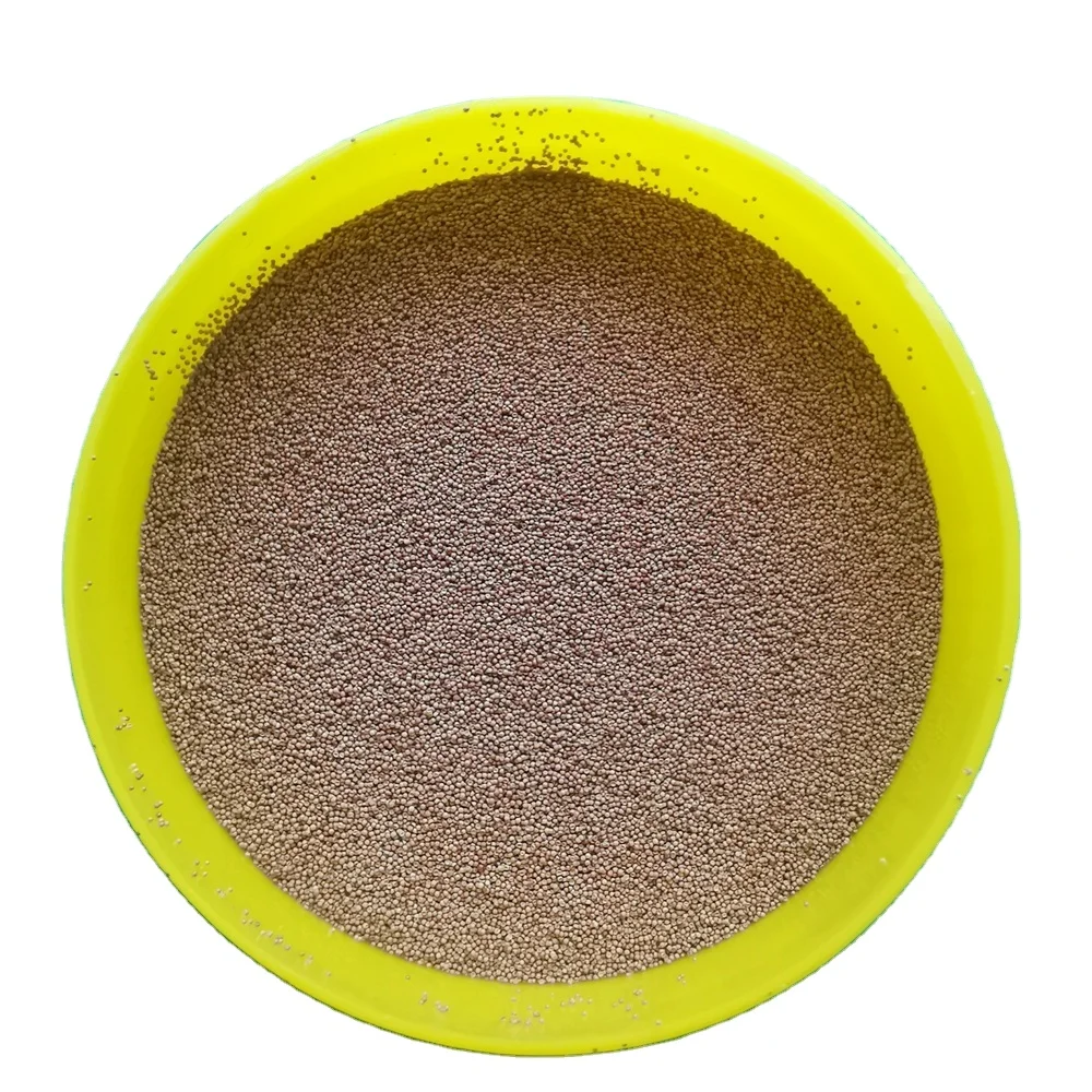 90% Artemia brine shrimp eggs with high protein