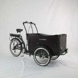 Classic three wheel family electric cargo bike/transport bike for sale