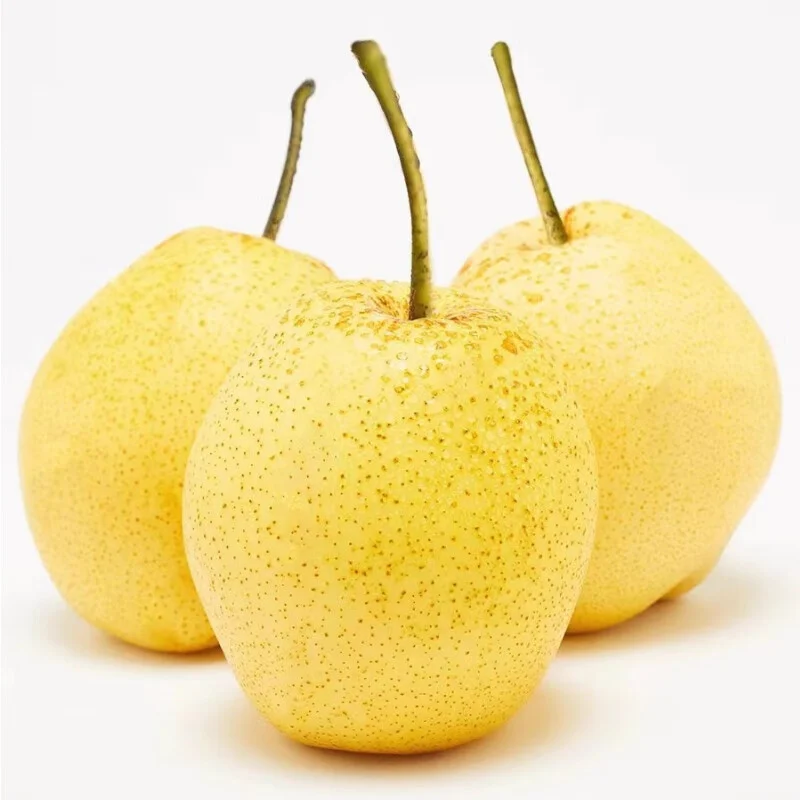 Китайская сочная груша