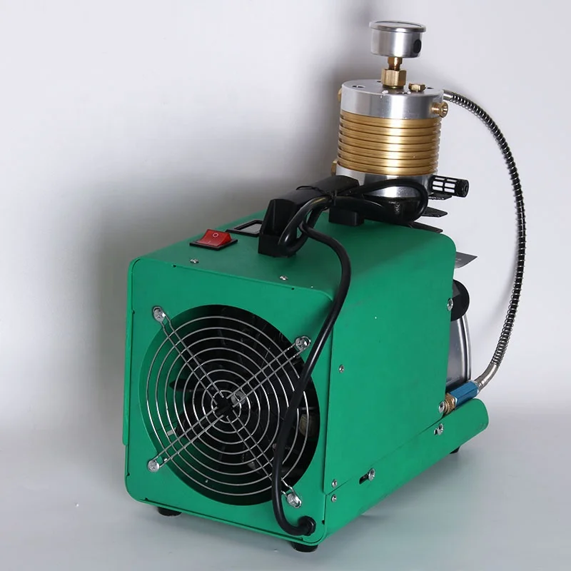 300Bar Portable 12V 220v Electric high pressure Mini Pcp Air Compressor 4500psi