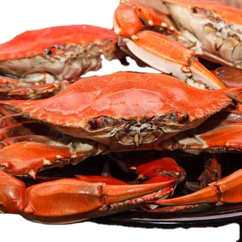 Hot selling Frozen and Alive King Crab King Crab Leg