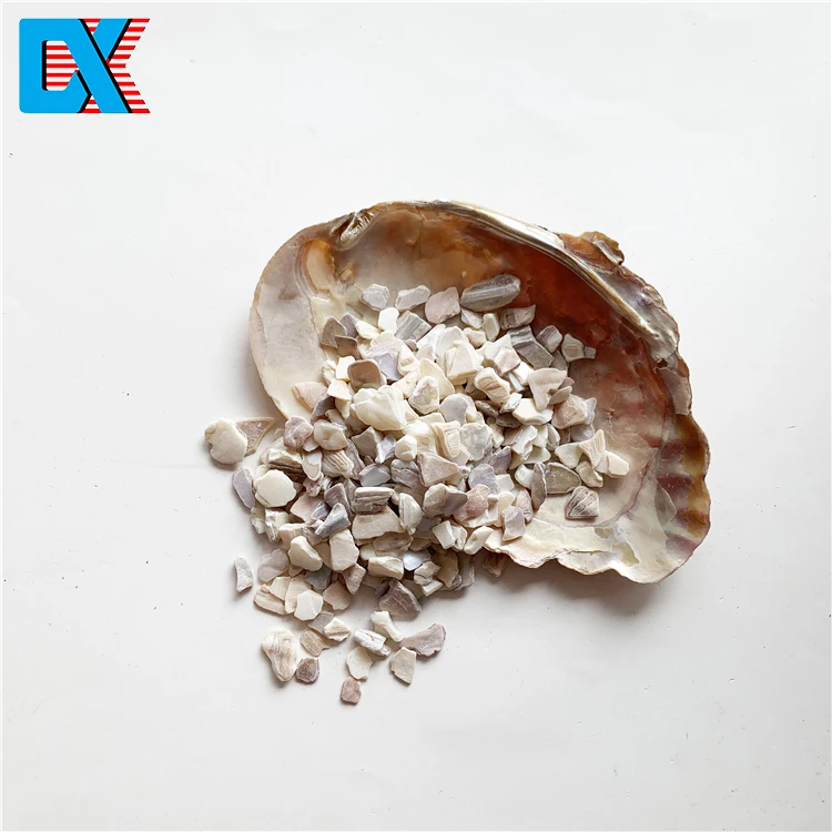 
Wholesale natural colorful crushed mother of pearl shell gravel chips for terrazzo 