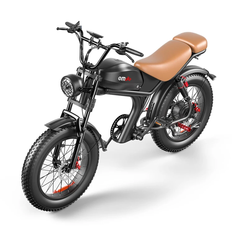 New Design High Quality E Bike China Manufacturer Customized 48V 1000W Electric Mountain Bicycle