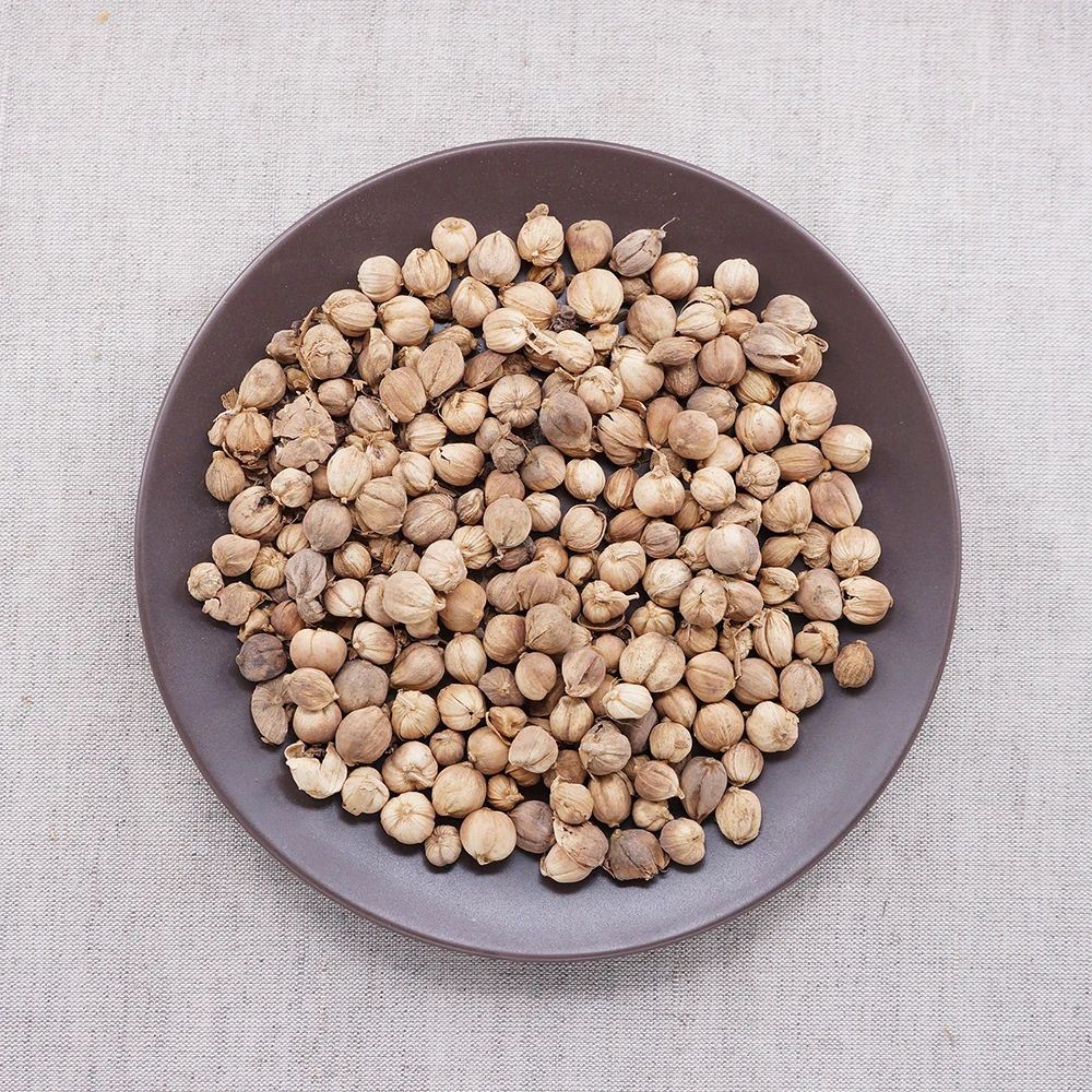 round cardamom cardamun nutmeg exporters Cardamine elettaria cardamomum organic