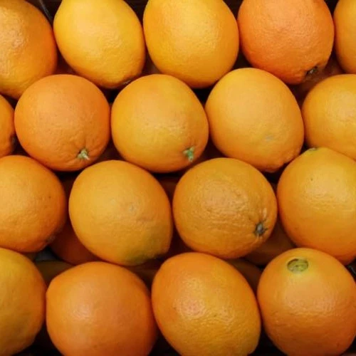
High Quality Fresh Orange Navel Valencia Citrus Fruits from Greece 