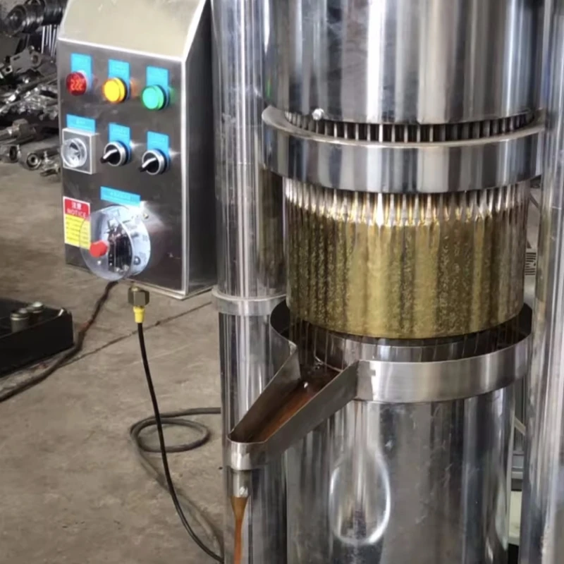 Oil Press for Sale in Morocco Hemp Seed Oil Press Machine Cold Press Oil Extraction Machine